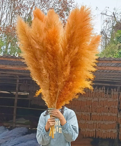 10 Stems dye to color orange pampas grass dried plants