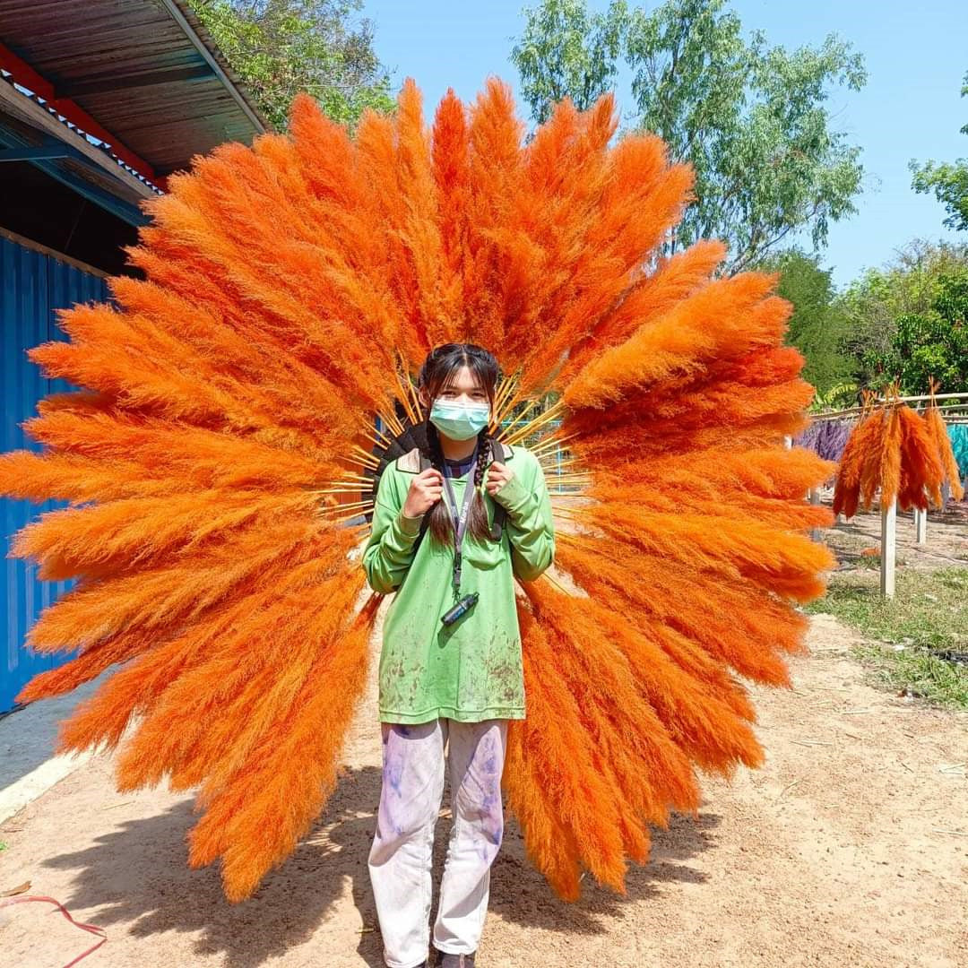 10 Stems dye to color orange pampas grass dried plants