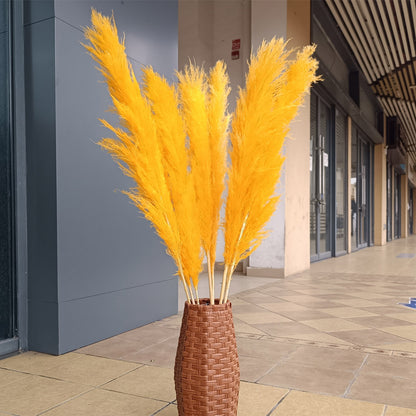 Customize 10pcs 4 feet dye to colors pampas grass dried flowers