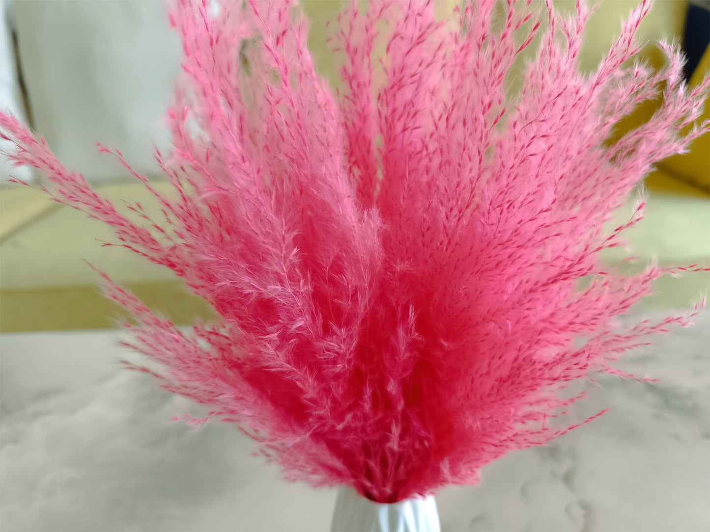 Pink fluffy dried pampas grass plumes