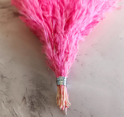 Pink fluffy dried pampas grass plumes