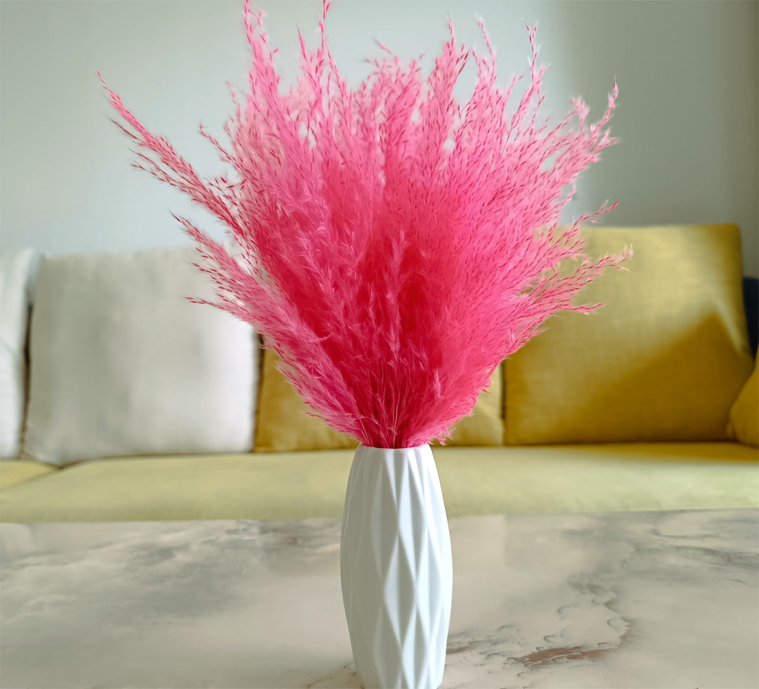 Pink fluffy dried pampas grass plumes