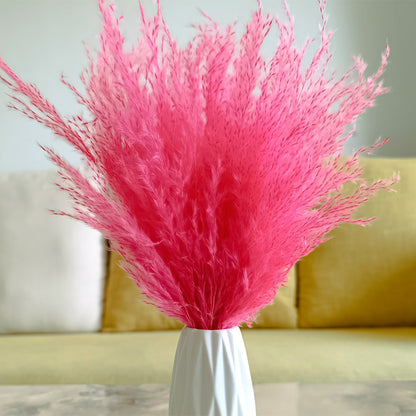 Pink fluffy dried pampas grass plumes