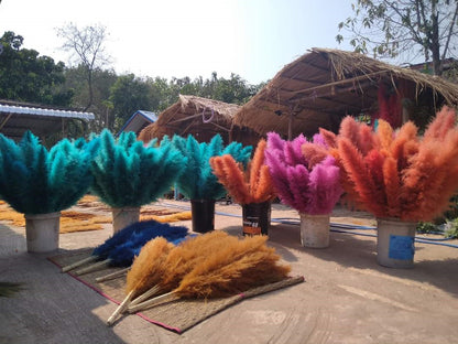 10 Stems dye to color teal pampas grass dried plants