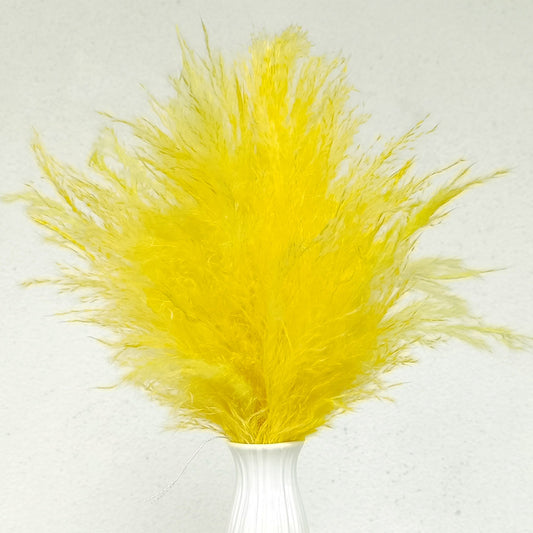 Yellow dried pampas grass fluffy plumes